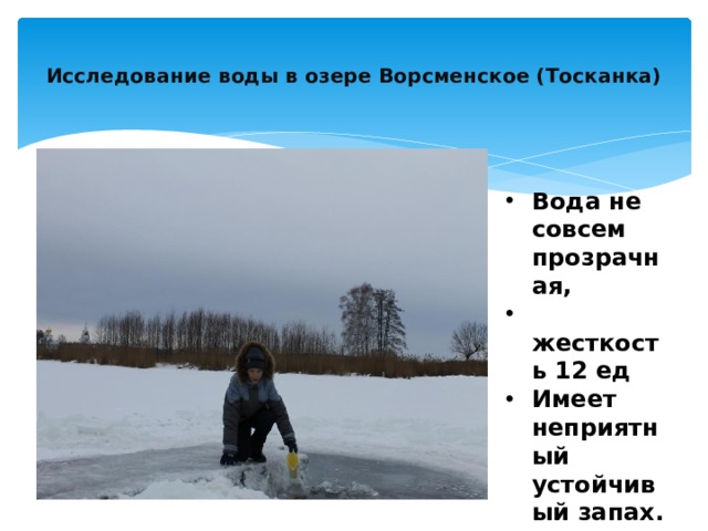  Исследование воды в озере Ворсменское (Тосканка)   Вода не совсем прозрачная,  жесткость 12 ед Имеет неприятный устойчивый запах. Непригодна для питья. 