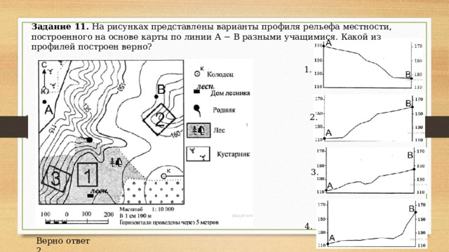 На рисунке представлены варианты профиля рельефа