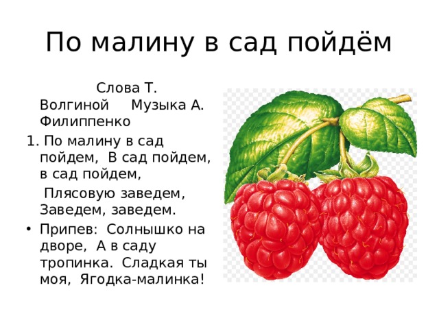 Сладка ягода слова. По малину в сад пойдем текст. Филиппенко по малину в сад пойдем. По малину. По малину в сад.