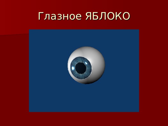 Глазное ЯБЛОКО 