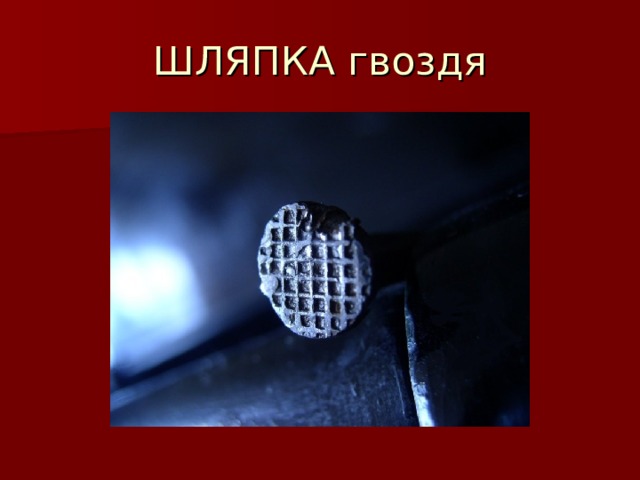 ШЛЯПКА гвоздя 