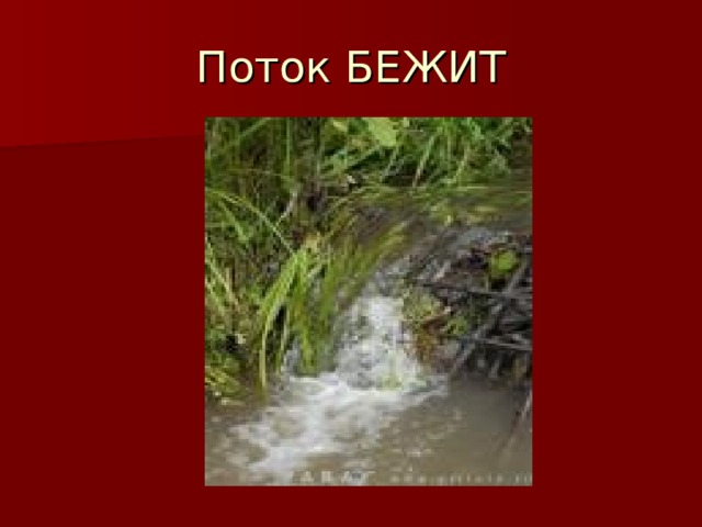 Поток БЕЖИТ 