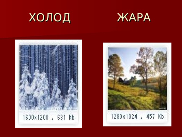  ХОЛОД ЖАРА 