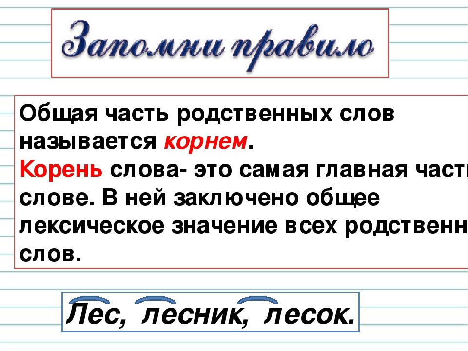 Кошка корень слова