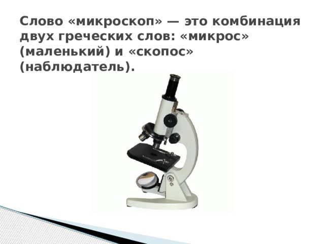 Слово «микроскоп» — это комбинация двух греческих слов: «микрос» (маленький) и «скопос» (наблюдатель).