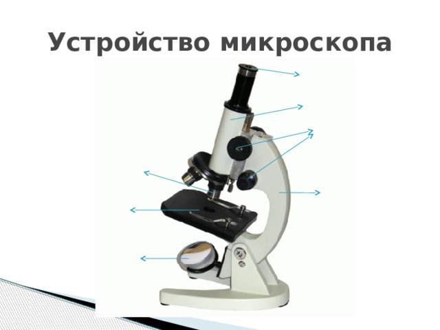 Устройство микроскопа