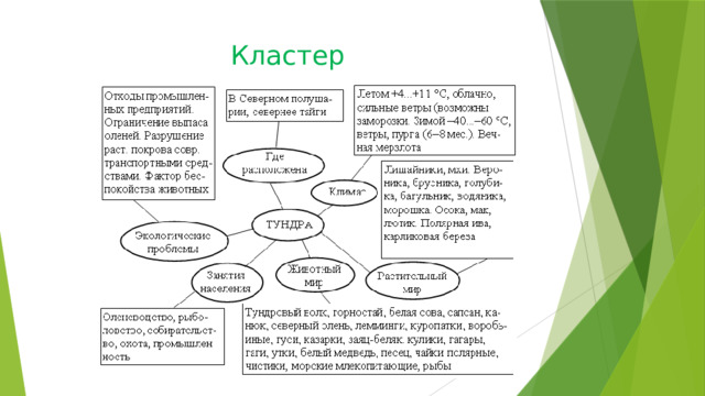 Кластер 