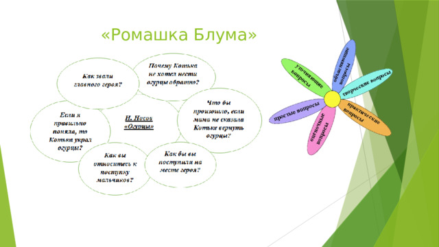 «Ромашка Блума»   