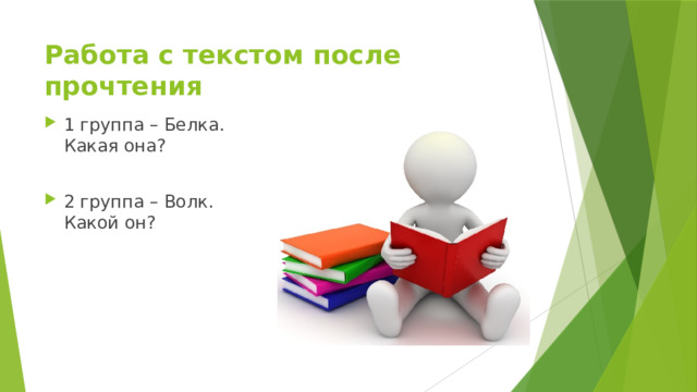 Работа с текстом после прочтения 1 группа – Белка. Какая она? 2 группа – Волк. Какой он? 