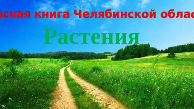 Красная книга Челябинской области Растения % 