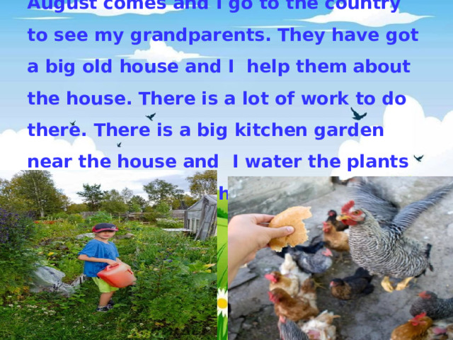 August comes and I go to the country to see my grandparents. They have got a big old house and I help them about the house. There is a lot of work to do there. There is a big kitchen garden near the house and I water the plants and also I feed the hens. 
