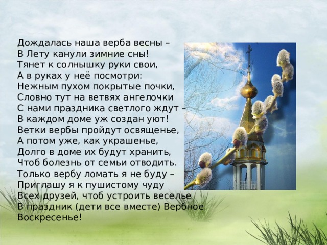 Дождалась наша верба весны – В Лету канули зимние сны! Тянет к солнышку руки свои, А в руках у неё посмотри: Нежным пухом покрытые почки, Словно тут на ветвях ангелочки С нами праздника светлого ждут – В каждом доме уж создан уют! Ветки вербы пройдут освященье, А потом уже, как украшенье, Долго в доме их будут хранить, Чтоб болезнь от семьи отводить. Только вербу ломать я не буду – Приглашу я к пушистому чуду Всех друзей, чтоб устроить веселье В праздник (дети все вместе) Вербное Воскресенье! 