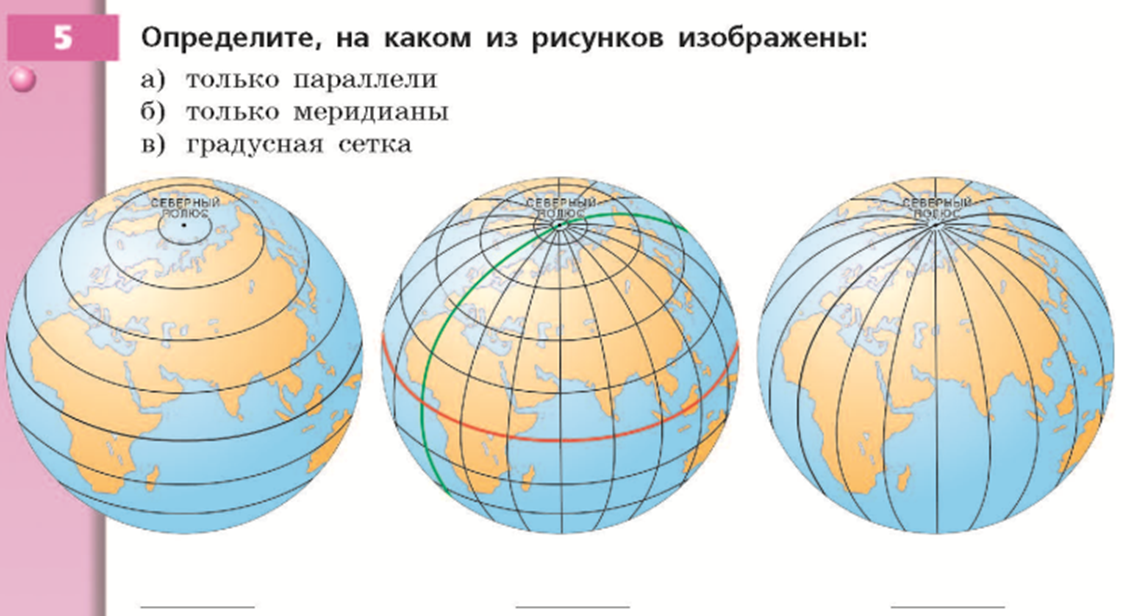 География градусная сеть Меридиан. Градусная сетка 5 класс Полярная звезда. Экватор Меридиан параллель. Глобус география 5 класс параллели и меридианы.