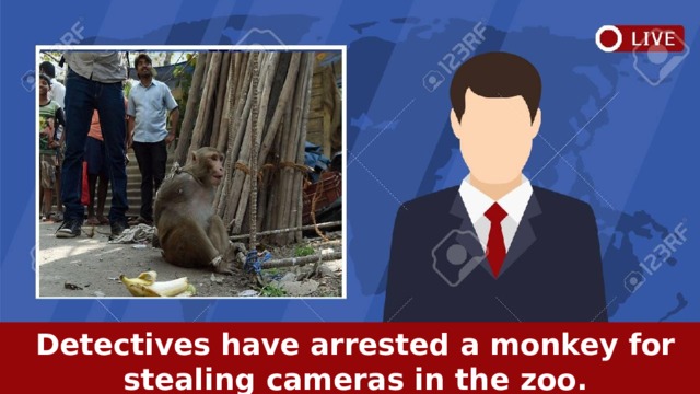  Detectives have arrested a monkey for stealing cameras in the zoo.  