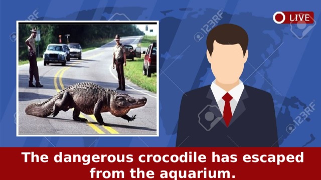   The dangerous crocodile has escaped from the aquarium.   