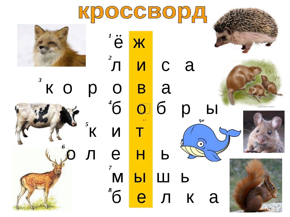 Кроссворд в картинках пушные звери