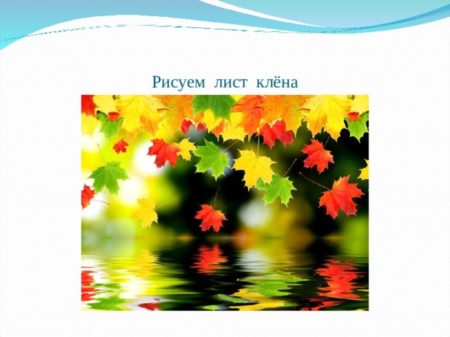 Рисуем лист клёна 