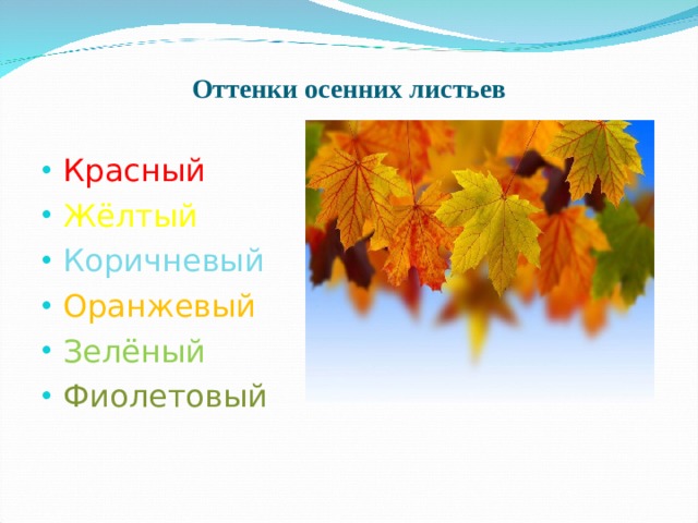 Оттенки осенних листьев Красный Жёлтый Коричневый Оранжевый Зелёный Фиолетовый  