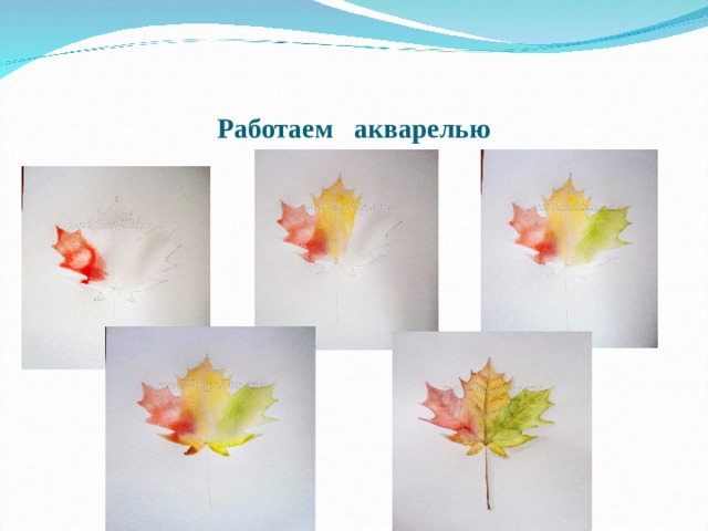 Работаем акварелью 