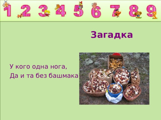  Загадка У кого одна нога, Да и та без башмака? 