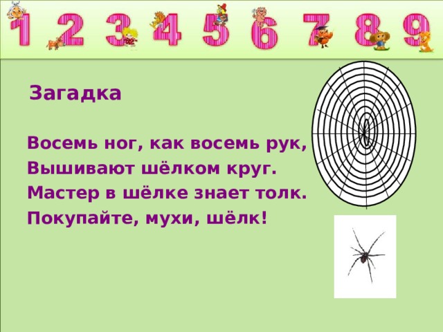 Загадки 8