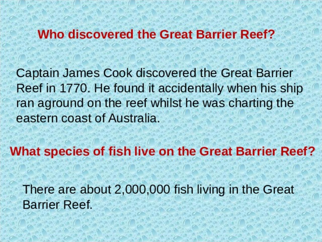 Who discovered the Great Barrier Reef? Captain James Cook discovered the Great Barrier Reef in 1770. He found it accidentally when his ship ran aground on the reef whilst he was charting the eastern coast of Australia. What species of fish live on the Great Barrier Reef? There are about 2,000,000 fish living in the Great Barrier Reef. 