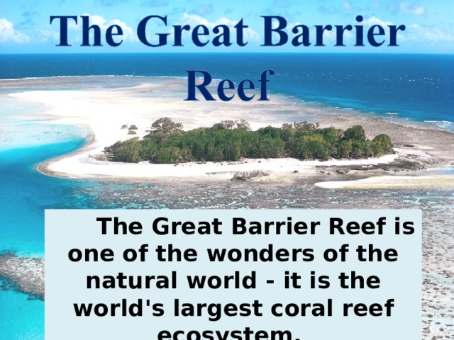  The Great Barrier Reef is one of the wonders of the natural world - it is the world's largest coral reef ecosystem. 