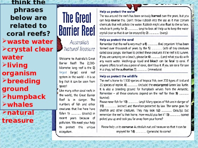 How do you think the phrases below are related to coral reefs? waste water crystal clear water living organism breeding ground humpback whales natural treasure 