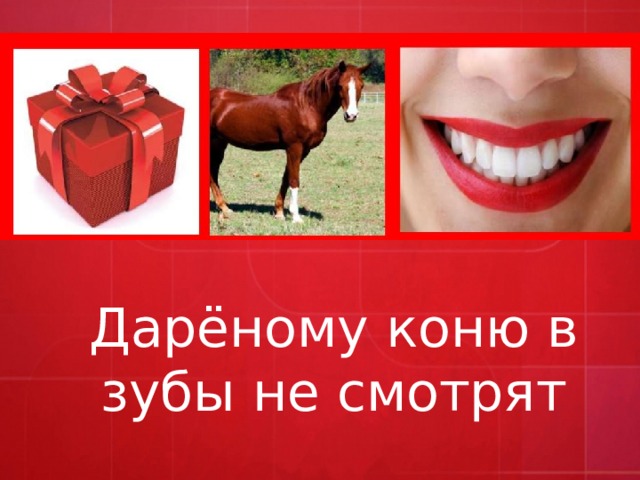 Дарёному коню в зубы не смотрят 