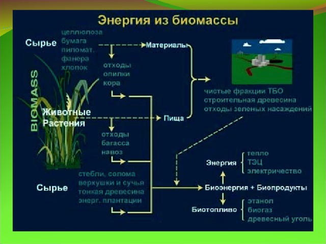 Сообщение на тему промышленная биоэнергетика с примерами