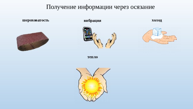 Получение информации через осязание шероховатость холод вибрация тепло 