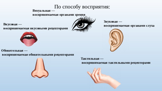 По способу восприятия: Визуальная — воспринимаемая органами зрения Звуковая — воспринимаемая органами слуха Вкусовая — воспринимаемая вкусовыми рецепторами Обонятельная —  воспринимаемая обонятельными рецепторами Тактильная —  воспринимаемая тактильными рецепторами 