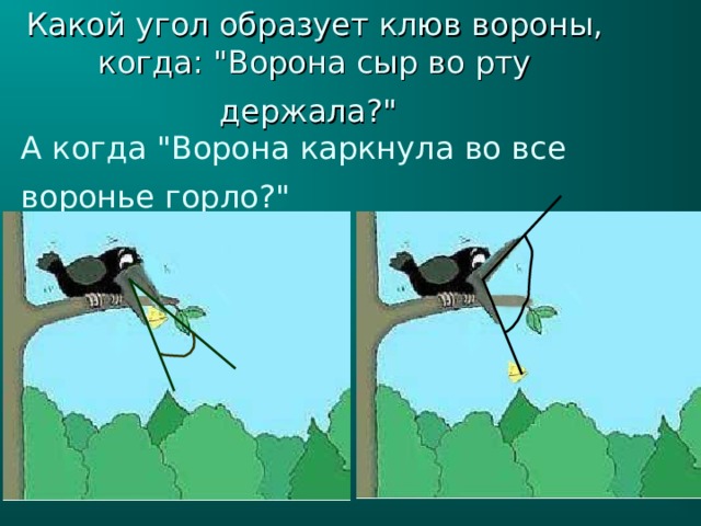 Какой угол образует клюв вороны, когда: 