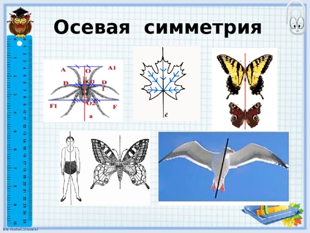 Осевая симметрия 
