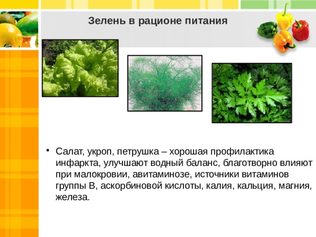 Зелень в рационе питания Салат, укроп, петрушка – хорошая профилактика инфаркта, улучшают водный баланс, благотворно влияют при малокровии, авитаминозе, источники витаминов группы В, аскорбиновой кислоты, калия, кальция, магния, железа.   