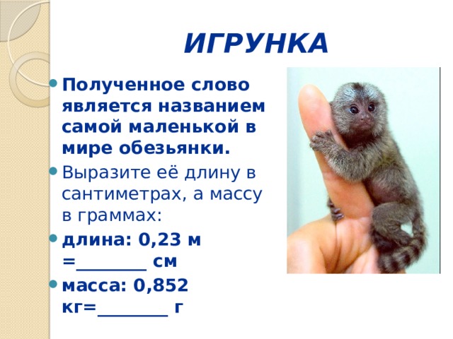 ИГРУНКА Полученное слово является названием  самой маленькой в мире обезьянки. Выразите её длину в сантиметрах, а массу в граммах: длина: 0,23 м =________ см масса: 0,852 кг=________ г 