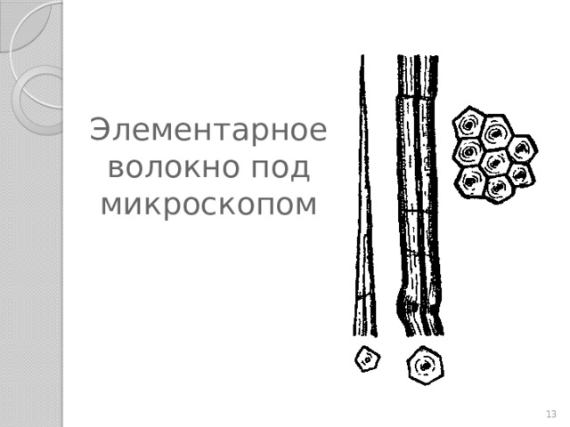 Волокна льна под микроскопом