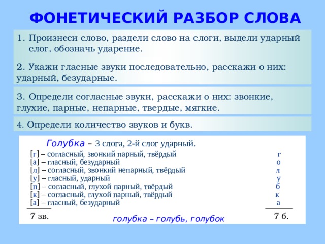 ФОНЕТИЧЕСКИЙ РАЗБОР СЛОВА Произнеси слово, раздели слово на слоги, выдели ударный слог, обозначь ударение. 2.  Укажи гласные звуки последовательно, расскажи о них: ударный, безударные. 3.  Определи согласные звуки, расскажи о них: звонкие, глухие, парные, непарные, твердые, мягкие. 4. Определи количество звуков и букв. Голубка – 3 слога, 2-й слог ударный. [ г ] – согласный, звонкий парный, твёрдый  г [ а ] – гласный, безударный  о [ л ] – согласный, звонкий непарный, твёрдый  л [ у ] – гласный, ударный  у [ п ] – согласный, глухой парный, твёрдый  б [ к ] – согласный, глухой парный, твёрдый  к [ а ] – гласный, безударный  а 7 зв. 7 б. голубка – голубь, голубок  