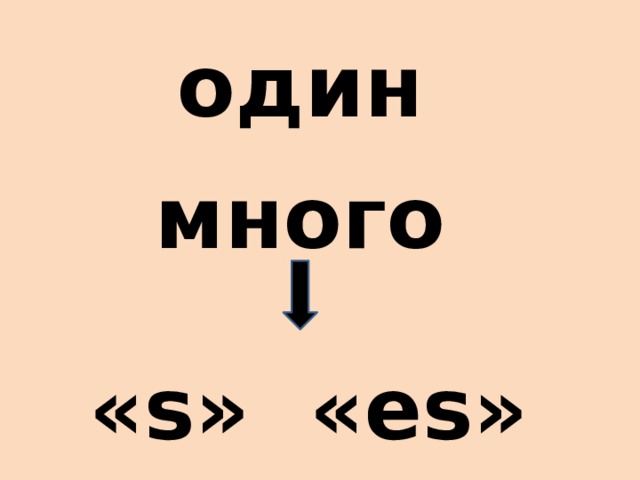 один много «s» «es» 