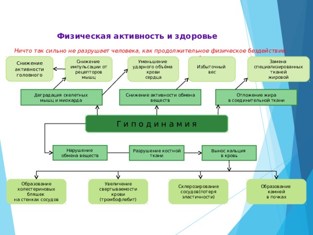 Проект влияние физической активности на здоровье