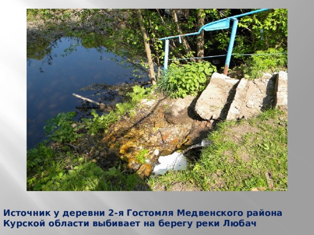 Источник у деревни 2-я Гостомля Медвенского района Курской области выбивает на берегу реки Любач 
