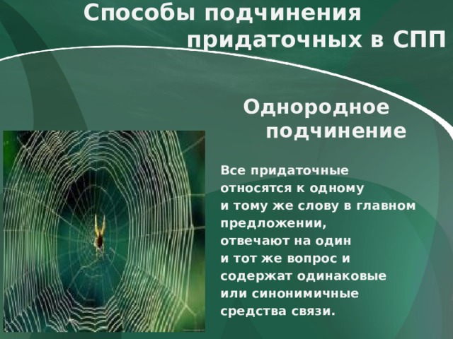 Способы подчинения  придаточных в СПП Однородное подчинение     Все придаточные относятся к одному и тому же слову в главном предложении, отвечают на один и тот же вопрос и содержат одинаковые или синонимичные средства связи. 