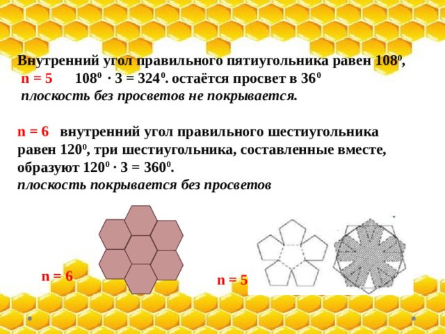 Чертеж пчелиной соты