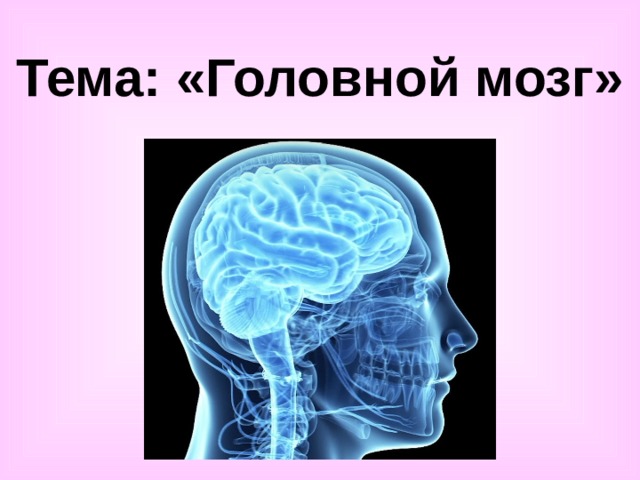 Тема: «Головной мозг» 