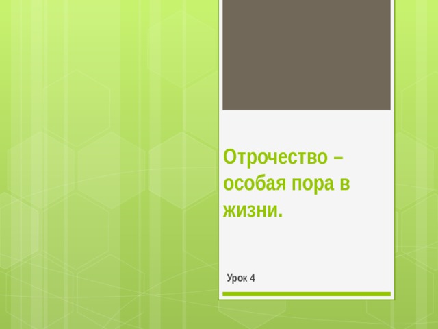 Отрочество – особая пора в жизни. Урок 4 