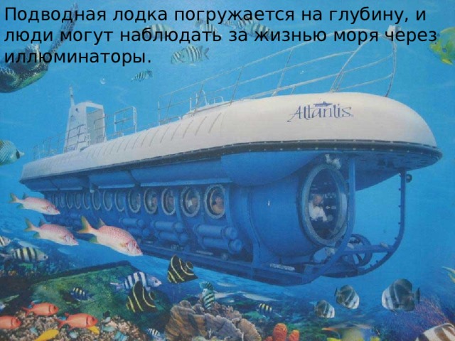 Подводная лодка погружается на глубину, и люди могут наблюдать за жизнью моря через иллюминаторы. 