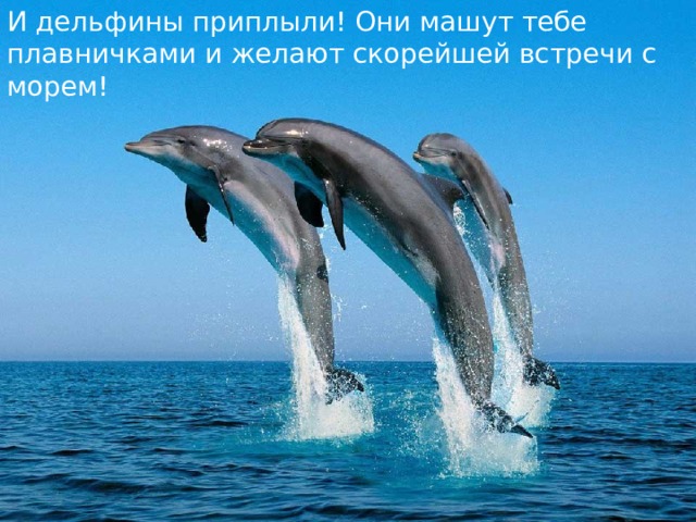 И дельфины приплыли! Они машут тебе плавничками и желают скорейшей встречи с морем! 