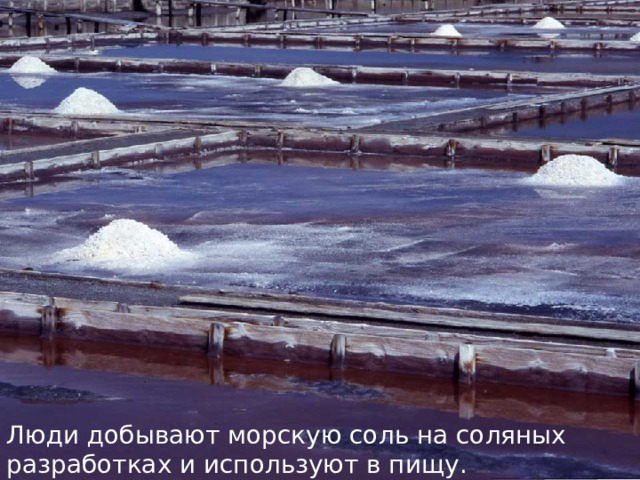 Люди добывают морскую соль на соляных разработках и используют в пищу. 