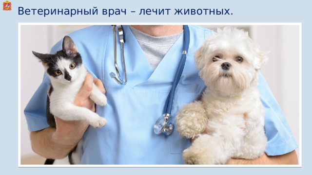 Ветеринарный врач – лечит животных. 