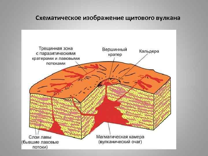 Щитовые вулканы схема